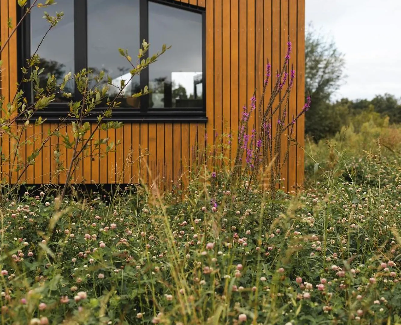 Vakantiehuis Waterlinie Lodges Utrecht